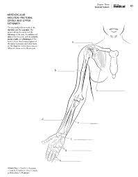 Full coverage of the main body systems, plus physiological information on. Kaplan Anatomy Coloring Book Pdf Boudli