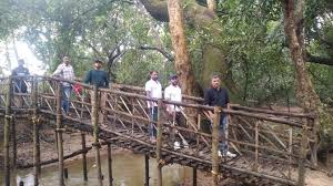 കുറുവ ദ്വീപ് തുറന്നു; തുടക്കം മന്ദഗതിയിൽ - LOCAL - WAYANAD | Kerala Kaumudi Online
