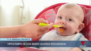 👶🏻🧠 Expertos que hicieron análisis de 26 niños hallaron que los mayores  de un año sí pueden generar recuerdos que duren unos minutos. Eso sugiere  que el hipocampo puede codificarlos incluso a edades ...