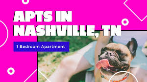 Whether you're traveling with friends, family, or even pets, vrbo vacation homes have the best. One Bedroom Apartments For Rent In Nashville Tn D17 Youtube