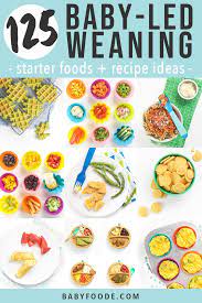 From around 6 months to start with, your baby only needs a small amount of solid food, once a day, at a time that suits you both. 125 Baby Led Weaning Foods Starter Recipe Ideas Baby Foode