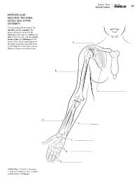 Kaplan Anatomy Coloring Book Pdf Anatomy Coloring Book Coloring Books Coloring Book Set