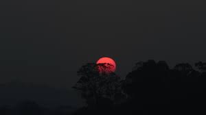Набор sunset 12129 chickadees on a fence. Wallpaper Trees Landscape Sunset Night Nature Red Sky Sunrise Moon Evening Morning Sun Dusk Cloud Tree Dawn Darkness Daytime Computer Wallpaper Atmosphere Of Earth Astronomical Object Geological Phenomenon Full Moon 5184x2912