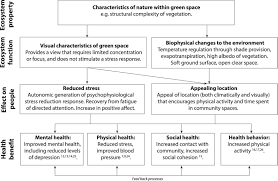 Academic appeal letter depression sample. Health Benefits From Nature Experiences Depend On Dose Scientific Reports