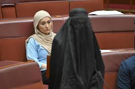 Australian Senator Pauline Hanson barred from Parliament for wearing burqa 'in protest' - The Hindu