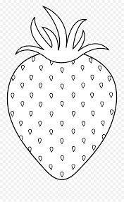 Black And White 3 Nice Clipart Png Outline Strawberry Clipart Black And White Free Transparent Png Images Pngaaa Com All images and logos are crafted with great workmanship. outline strawberry clipart black and