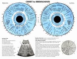 What Is Iridology Diagnosis Chart Iriscope Iridology