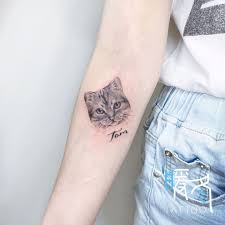暖冬刺青vm tattoo 刺青師 amber 預約討論請加line vmtattoo 地址 台中市北屯區文心路四段999號 寵物刺青 貓咪刺青 貓刺青 c arm