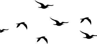 View Full Size Flying Birds Silhouette Png Clipart And Download Transparent Clipart For Free Like It And Bird Silhouette Birds Flying Flying Bird Silhouette