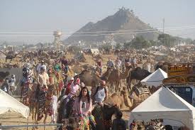 On the lofty aravalli, you can also enjoy hiking. Pushkar Camel Safari Aktuelle 2021 Lohnt Es Sich Mit Fotos