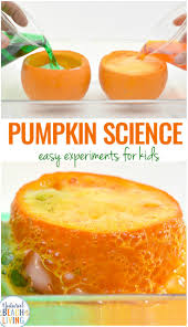 We did not find results for: Pumpkin Science Experiments Pumpkin Volcano For Kids Natural Beach Living