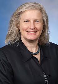 Bohnak and Hill eye Michigan's 109th House District