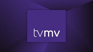 FCM-spillere udsat for racistiske tilråb