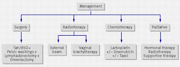Transvaginal ultrasound , in which the doctor inserts a. Endometrial Cancer The Bmj