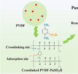 Sub-50 nm polyvinylidene fluoride organic solvent ...
