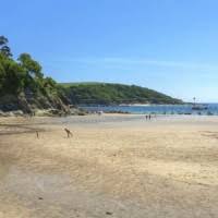 About salcombe and the local area. North Sands Beach Beaches Near Salcombe South Hams Devon Southhams Com
