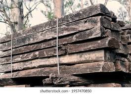 Image result for Schinopsis