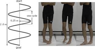 Tandem gait is a gait where the toes of the back foot touch the heel of the front foot at each step. Tandem Gait On A Sine Wave Walkway Download Scientific Diagram