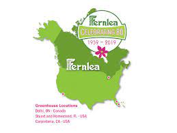 Fellows fernlea has been offering the st. Fernlea Flowers Celebrates 80 Years Of Growing Millions Of Plants Each Spring Perishable News