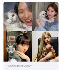 November 15, 2002 zodiac sign: Itzy Confirmed To Make A Full Group Appearance On Good Info Net