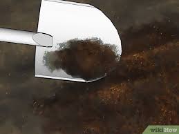 Remove any kinked or broken roots using bypass hand remove the weak lateral branches at the branch collars so the few left are well spaced and. How To Plant A Peach Tree 13 Steps With Pictures Wikihow