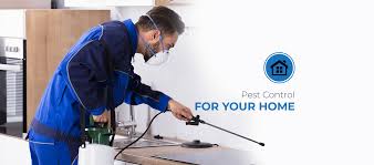 Diy perimeter pest control | home pest control application. Merida Pest Control Twickenham Merida Pest Control