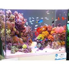 Amazing Mixed Reef Tank Owner Unknown Instareef Reefpack Reeftank Marinetank Coralreeftank Allmymoney Saltwater Fish Tanks Marine Fish Marine Fish Tanks