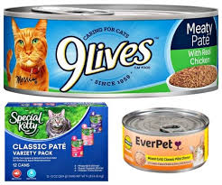 Persuading your cat to eat. Purina Recalls Single Lot Of Therapeutic Canned Cat Food
