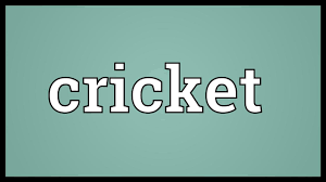 A page dedicated to indian cricket. Cricket Meaning Youtube