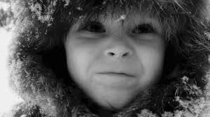 Power of the polar bear, m:brane pitch