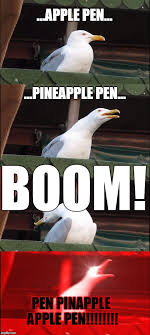 Maybe you would like to learn more about one of these? 20 Inhaling Seagull Memes To Drive You Crazy Ultima Status