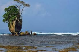 Dekat perkebunan teh jelasnya lagi dengan wajah memerah karena malu2 kali. Inilah 10 Pantai Di Bengkulu Yang Unik Dan Tersembunyi