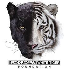 Black And White Tiger Picture Pin Oleh Lisa Todd Di Black Jaguar White Tiger Foundation