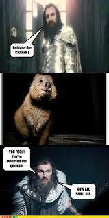 Quokka Meme Google Search Quokka Cute Animals Memes