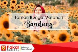 Tersedia ✓ gratis ongkir ✓ pengiriman sampai di hari yang sama. Alamat Dan Harga Tiket Wisata Bunga Matahari Bandung Pakar Holiday