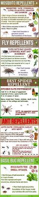 If you are looking for a reasonable and reliable pest control company to come out and service your business or home, we have referred this company to our customers for the 30+years we have been here and we still highly recommended. Pin By Gayle Adair On Home Oils Essential Oils Bug Repellent