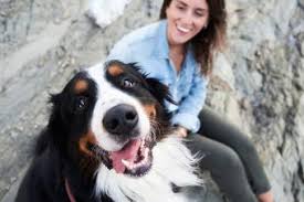 Look through our pet loss poems, quotes and messages to assist you in your search for the best way to share your condolences or to help console your own loss. Comforting Poems For A Grieving Pet Owner Lovetoknow