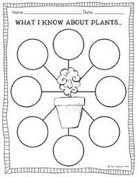 Worksheet On Parts Of Plants Plant Activities Plant Science Plant Lessons