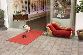 Ähnlich wie bei möbeln oder dekor verleihen sie ihrem lieblingszimmer mit. Der Mops Mit Diva Rotem Teppich Und Silbernen Napf War Der Hingucker Vor Dem Optikergeschaft Und Der Mops Genoss Es Roter Teppich Teppich Mops