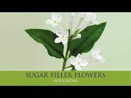 How To Make Bouvardia Sugar Filler Flowers Part 7 Youtube Parts Of A Flower Flowers Cake Decorating Flowers