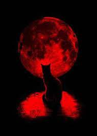  11 Ide Darah Darah Serigala Merah Hematologi