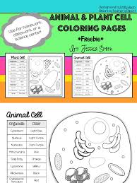 Check spelling or type a new query. Animal And Plant Cell Match And Color Pages Freebie Pdf