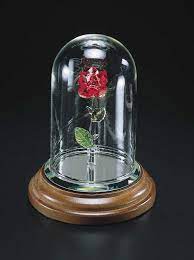 Pin On Beauty And The Beast