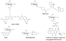 This is a glucose analog that is avidly taken up by cancer cells. Cancers Free Full Text L Glucose Another Path To Cancer Cells Html