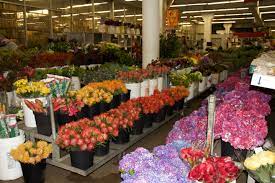 Allysonsflowers.com has been visited by 10k+ users in the past month Holland Flower Market Southern California Flower Market