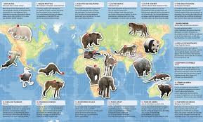 Http Img Xooimage Com Files91 5 B 2 Topelement 1 3d21d56 Jpg Animaux Biodiversite En Sursis
