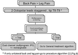 The Failed Back Surgery Syndrome Definition And Therapeutic Algorithms An Update Sciencedirect