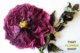 Silica gel for flower drying art. How To Dry Flowers 7 Awesome Ways To Preserve A Bouquet That Flower Shop
