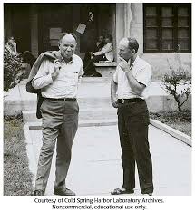 Gallery 21: Mahlon Hoagland and Ernest Borek, 1966 :: CSHL DNA Learning  Center