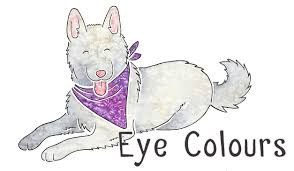 Dog Coat Colour Genetics